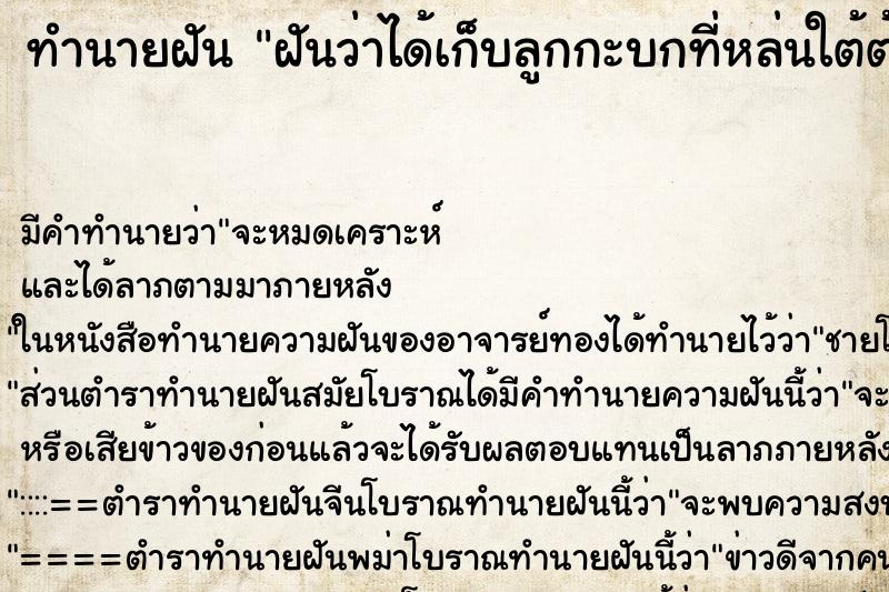 ทำนายฝัน ฝันว่าได้เก็บลูกกะบกที่หล่นใต้ต้น 